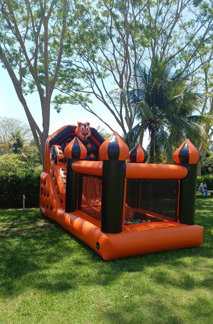Tobogã Tigre com Piscina de Bolinhas