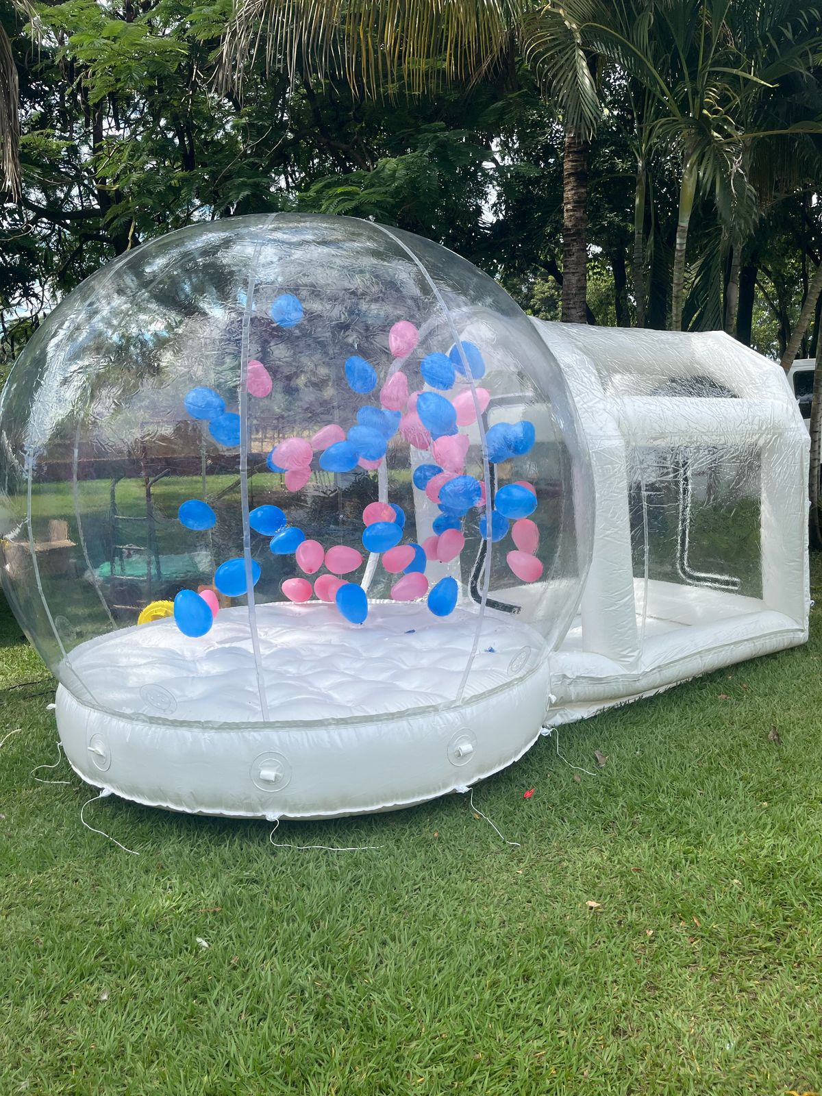 Bubble House Pula pula